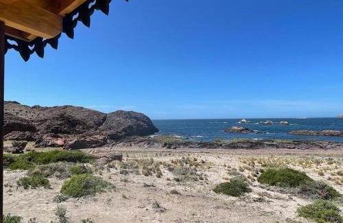 Camarones Other | Isla Leones Camps