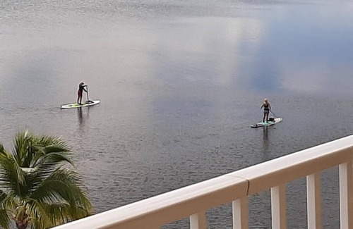Tavernier Condo | Islamorada Oceanfront Corner Condo, VIEWS! Pool, WiFi, Sand, Gym, Game Room
