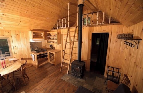 Saint-Etienne-De-Bolto Cabin | Isolated eco-lodge in the middle of nature: Le Renard