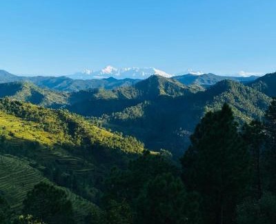 Kaul Cabin | Itmenaan Estate in the Himalayas