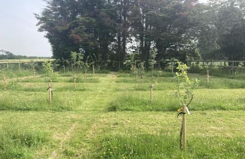 Eastling Other | Izzie The Glampervan