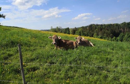 Altusried Apartment | Jägerstüble