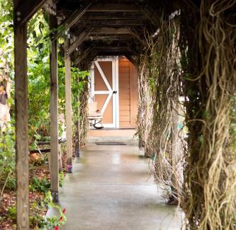 Lodge Hill Bed & Breakfast | J Patrick Inn