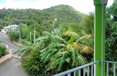 Desbonnes Apartment | Jardin Bananier