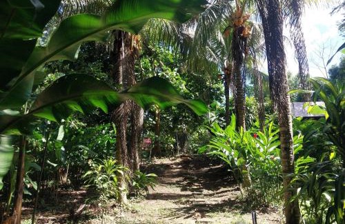 Puerto Maldonado Apartment | JARDIN DE LAS MUSAS