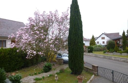 Lingolsheim Apartment | Jardin Fleuri