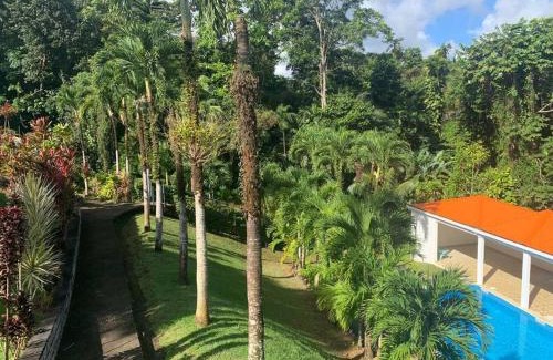 Circuit 1C1 House | Jardin Secret