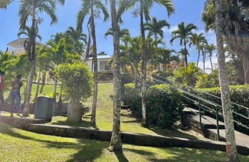 Circuit 1C1 House | Jardin Secret