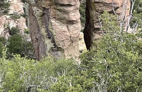 Pearce Bed & Breakfast | Javelina Room in beautiful, well established country inn on 14 forested acres.