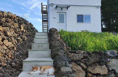 Sehwa-ri Bed & Breakfast | Jeju Damda