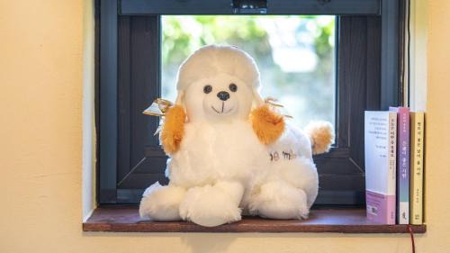 Pyeongdae-ri House | Jeju Pyeongdae 41street Pension