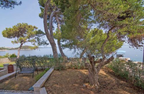 Veli Losinj Apartment | Jelena B4