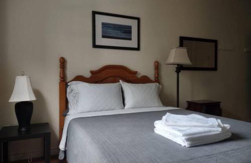 Downtown St. John's House | Jelly Bean 1