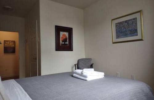 Downtown St. John's House | Jelly Bean 1