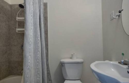 Downtown St. John's House | Jelly Bean 1