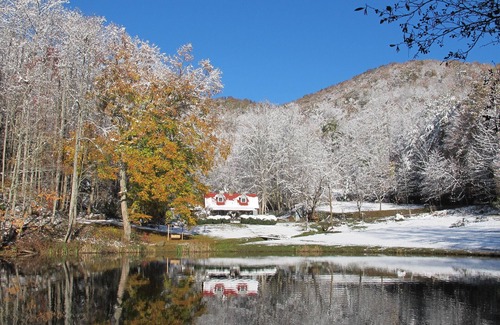 Robbinsville Cabin | Jimbo's Farm - 53 Acre Retreat with Trout Pond and Stream