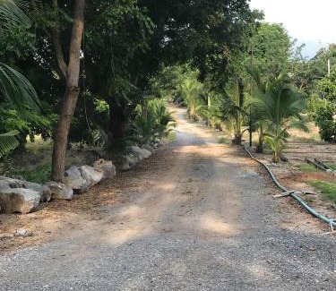 Pak Chong Bed & Breakfast | Jindarin Villas
