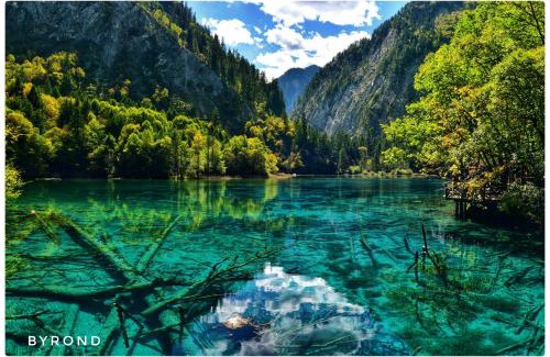 Jiuzhaigou Apartment | Jiuzhaigou Bijia Boutique B&B - Bi's Joyful Haven