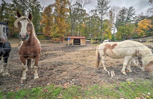 Huntingdon Apartment | John Wayne Apartment - Deck, BBQ, Horses On-Site
