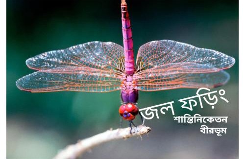 Bolpur Apartment | JOLFORING Home Stay