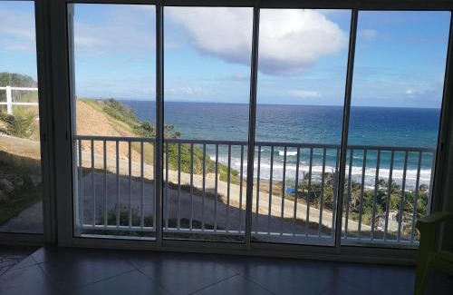 Terre-de-Haut Apartment | Joli studio climatisé avec grande terrasse, très belle vue océan, très calme, plages à proximité, aucun vis-à-vis