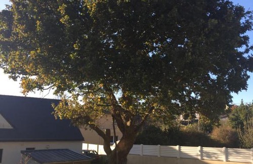 Locmaria-Plouzane Bed & Breakfast | Jolie chambre d'hôte