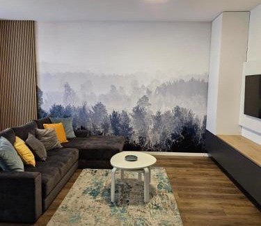 Timisoara Apartment | Joy City Stay Nord One N2-66