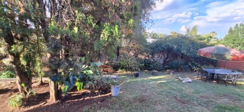 Greater Johannesburg Metropolitan Area House | Jukskei Big5 - Rhino