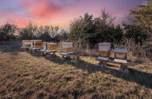 Woodway Apartment | Jungle Haven Yurt- Unit #2