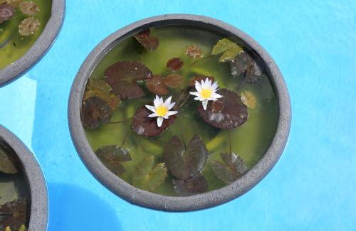 Chejilipes Apartment | Jungle Paradise