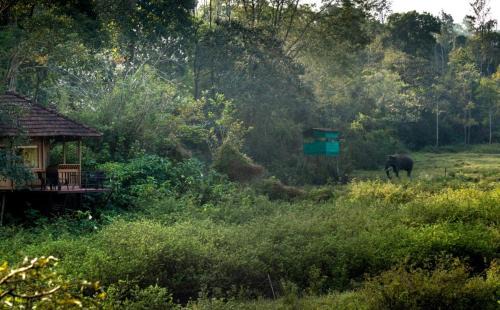 Kaimane Cabin | Jungle Retreat Wayanad