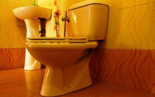 Kaimane Cabin | Jungle Retreat Wayanad