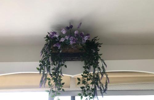 San Marcos Apartment | * Just do it : take my Superhost lovin’ place