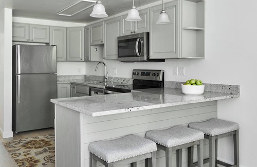 Snowmass Village Condo | Just off Fanny Hill - Completely renovated