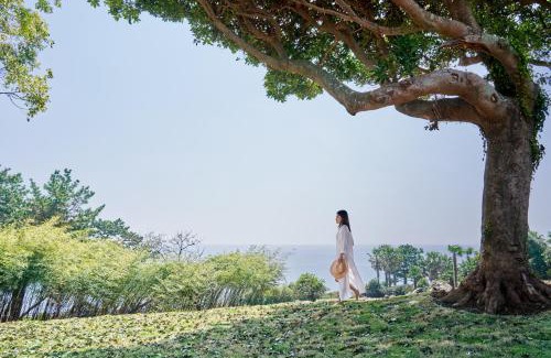 Seogwipo City Hotel | JW Marriott Jeju Resort & Spa