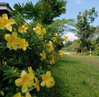 Samut Sakhon House | K Garden Homestay Chiang Rai