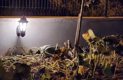 Altıeylul House | Kabaklı Turizm Amaçlı Konut Daire 1