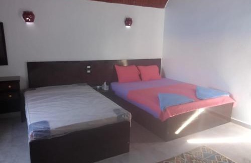 Aswan House | Kafana Guest House Nile View