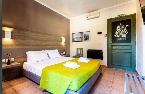 Kalogria Hotel | Kalogria Summer Retreats - Seimeio Strofilia, Sunny Vibes