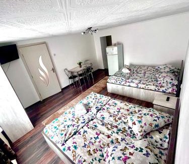 Praid House | Kami&Reni