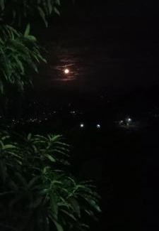 Kandy Resort | Kandy IVY Mountain View Resort