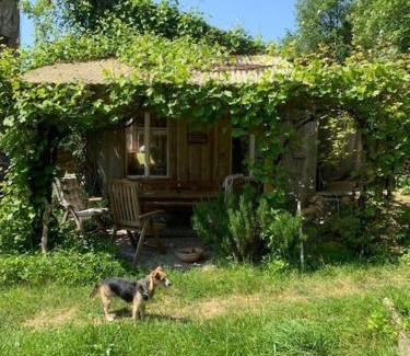 Kradolf-Schonenberg Apartment | Karibik Suite am Wald und Bach