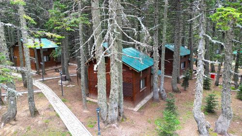 Osmangazi Hotel | Karinna Orman Evleri