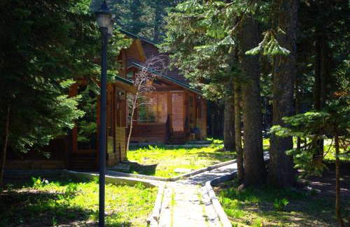 Osmangazi Hotel | Karinna Orman Evleri