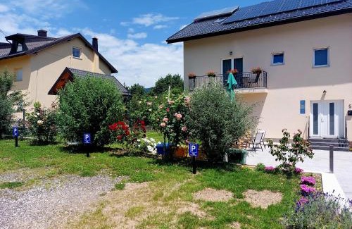 Korenica House | Katarica