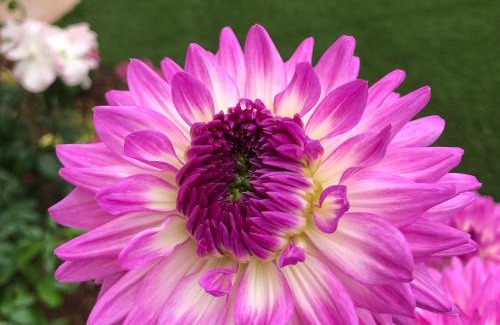 Leucadia Bed & Breakfast | Kate Stanton Inn