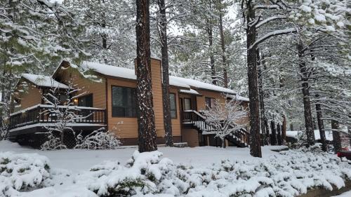 Flagstaff House | Kathys Cabin, King Bed, Hot Tub, Near-NAU & Downtown attractions, Perfect Year-Round Mountain Getaway