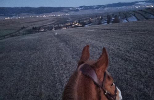 Armaseni Noi House | Kavalliera Pensiune