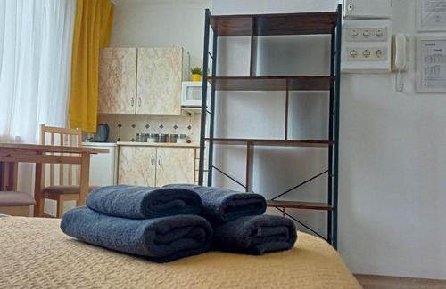 Czestochowa Apartment | Kawalerka Częstochowa 17
