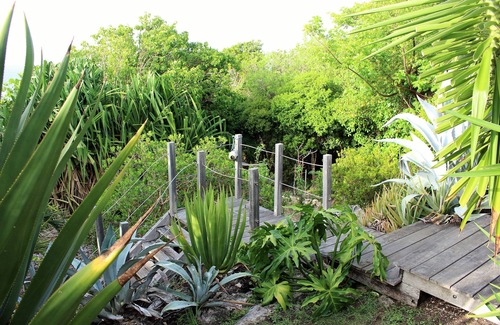 Capesterre-de-Marie-Galante House | Kaz a Math Charming bungalow with sea view and swimming pool